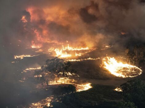 L'Australie ravagée par les flammes