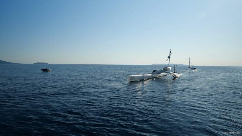 Dauphin autour du navire Sphyrna Odyssey pendant la mission Quiet Sea