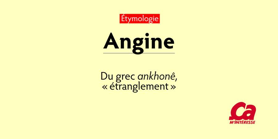Angine, du grec ankhonê, "étranglement"