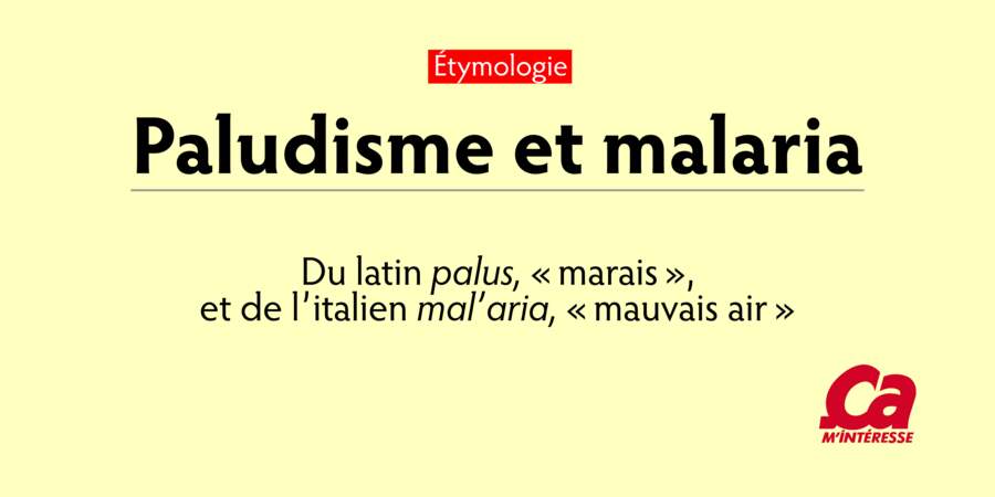 Paludisme, du latin palus, "marais", et malaria, de l’italien mal’aria, "mauvais air"