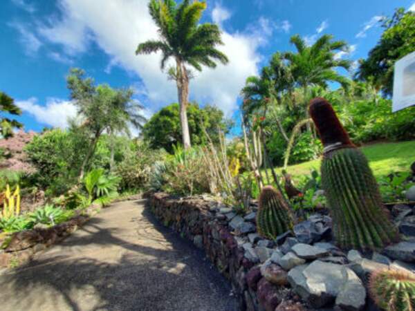 Jardin botanique de Deshaies (Guadeloupe)