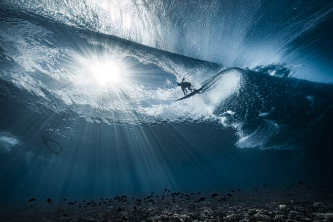 Deuxième prix, catégorie "Ocean Adventure Photographer of the Year "