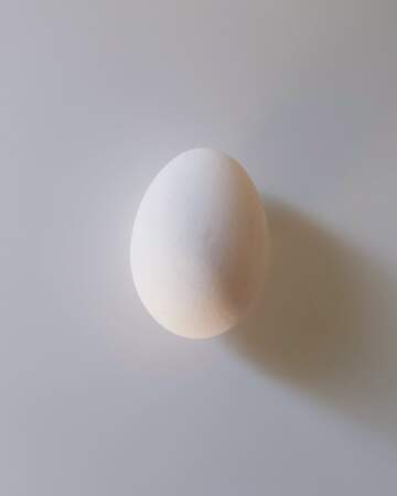 L'œuf