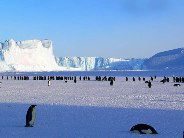 L'Antarctique, le désert qui abrite presque toute l’eau douce de la planète